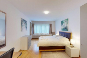 Terrific 2BD flat near City Center and Lake - Wille 5